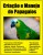 Marketing Criação de Papagaios