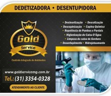 Gold Service Site certo